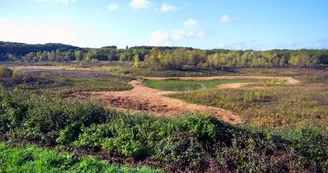 Étang de Landaudrie