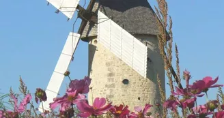 Moulin à Vent du Cluzelet Moulin à Vent du Cluzelet