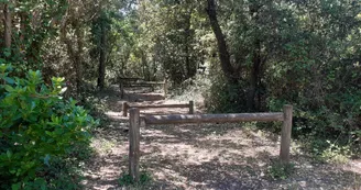 Parcours sportif à Saint-Trojan-les-Bains Parcours sportif à Saint-Trojan-les-Bains