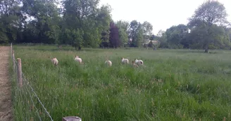 Mail de Seugne et Arboretum à Jonzac