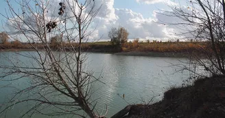 Etang de Courcerac