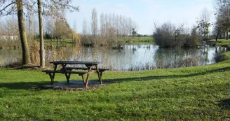 Etang de l'Hommée
