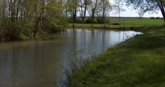 Aire de pique-nique - Sainte-Même