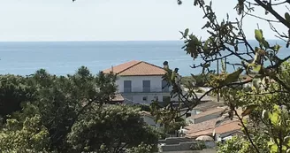 La Petite Plage