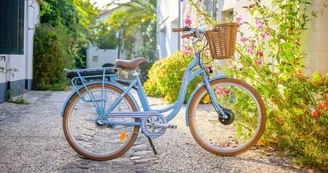 Location de vélos - Beach Bikes - Saint-Pierre