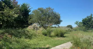 Villa Marena Villa Marena