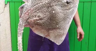Le Jour du Poisson