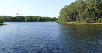 Lac Baron Desqueyroux à Montendre Lac Baron Desqueyroux à Montendre