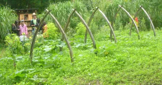 Les Jardins Respectueux Les Jardins Respectueux