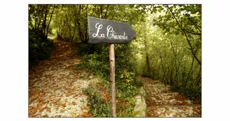 Les Jardins Respectueux Les Jardins Respectueux