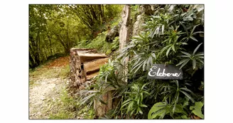 Les Jardins Respectueux Les Jardins Respectueux