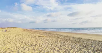 Plage de Vert bois