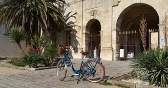 Cycling Tour