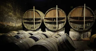 Normandin Mercier, boutique au domaine - Cognacs et pineau Normandin Mercier, boutique au domaine - Cognacs et pineau