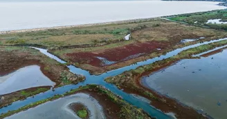 Marais de Pampin
