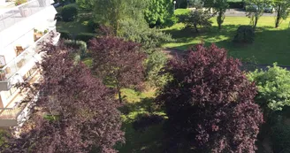 Appartement 6 personnes - Grand Missy - Les Terrasses
