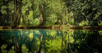 Les Fontaines Bleues - Parc et Jardin du Château de Beaulon Les Fontaines Bleues - Parc et Jardin du Château de Beaulon