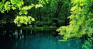Les Fontaines Bleues - Parc et Jardin du Château de Beaulon Les Fontaines Bleues - Parc et Jardin du Château de Beaulon