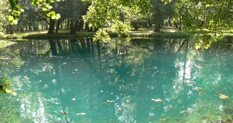 Les Fontaines Bleues - Parc et Jardin du Château de Beaulon Les Fontaines Bleues - Parc et Jardin du Château de Beaulon