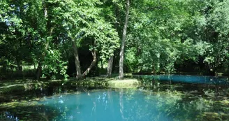 Les Fontaines Bleues - Parc et Jardin du Château de Beaulon Les Fontaines Bleues - Parc et Jardin du Château de Beaulon