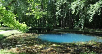 Les Fontaines Bleues - Parc et Jardin du Château de Beaulon Les Fontaines Bleues - Parc et Jardin du Château de Beaulon