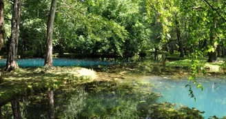 Les Fontaines Bleues - Parc et Jardin du Château de Beaulon Les Fontaines Bleues - Parc et Jardin du Château de Beaulon
