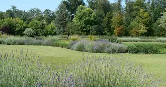 Les Fontaines Bleues - Parc et Jardin du Château de Beaulon Les Fontaines Bleues - Parc et Jardin du Château de Beaulon