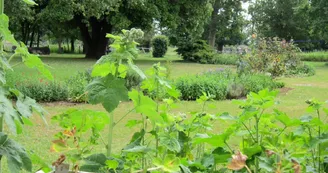 Le Clos de la Garenne - Tournesol