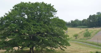 Camping de La Vélonde Camping de La Vélonde
