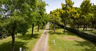 Camping Le Dauphin