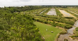 Camping Le Dauphin