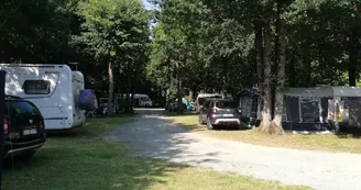 Camping L'Orée des Bois