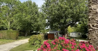 Camping L'Orée des Bois