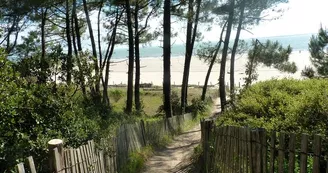 Camping Le Pin Franc