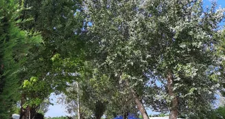 Camping Le Prélong