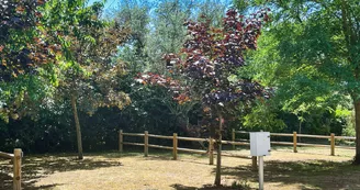 Camping Les Flots 4