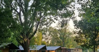 Camping Municipal Saintes Grandes Rives