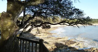 Chadotel Tahiti Village Chadotel Tahiti Village