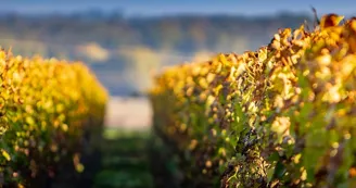Domaine des Princes