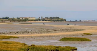 Ile Madame