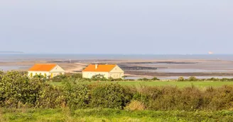 Ile Madame