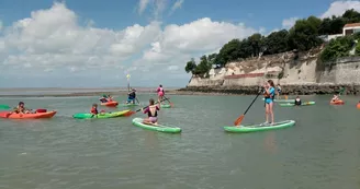 Antioche Kayak :  École de pagaie - Initiation au stand up paddle