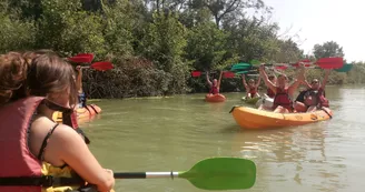 Balade verte en canoë dans le marais Rochefortais