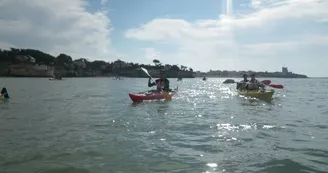 Balade de 2h en kayak de mer au coeur d'un grand site de France