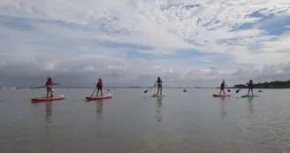 Kayak découverte 17: Balade nautique de 1h30 en stand up paddle sur le littoral charentais