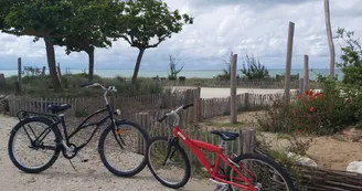 Location Vélos - Le Vélocipède