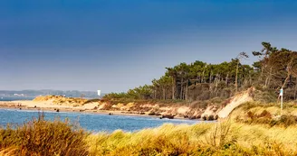 Plage de l'Embellie