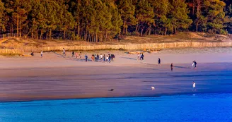 Plage de Suzac