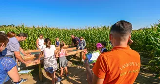 Pop Corn Labyrinthe