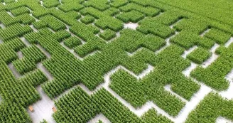 Pop Corn Labyrinthe